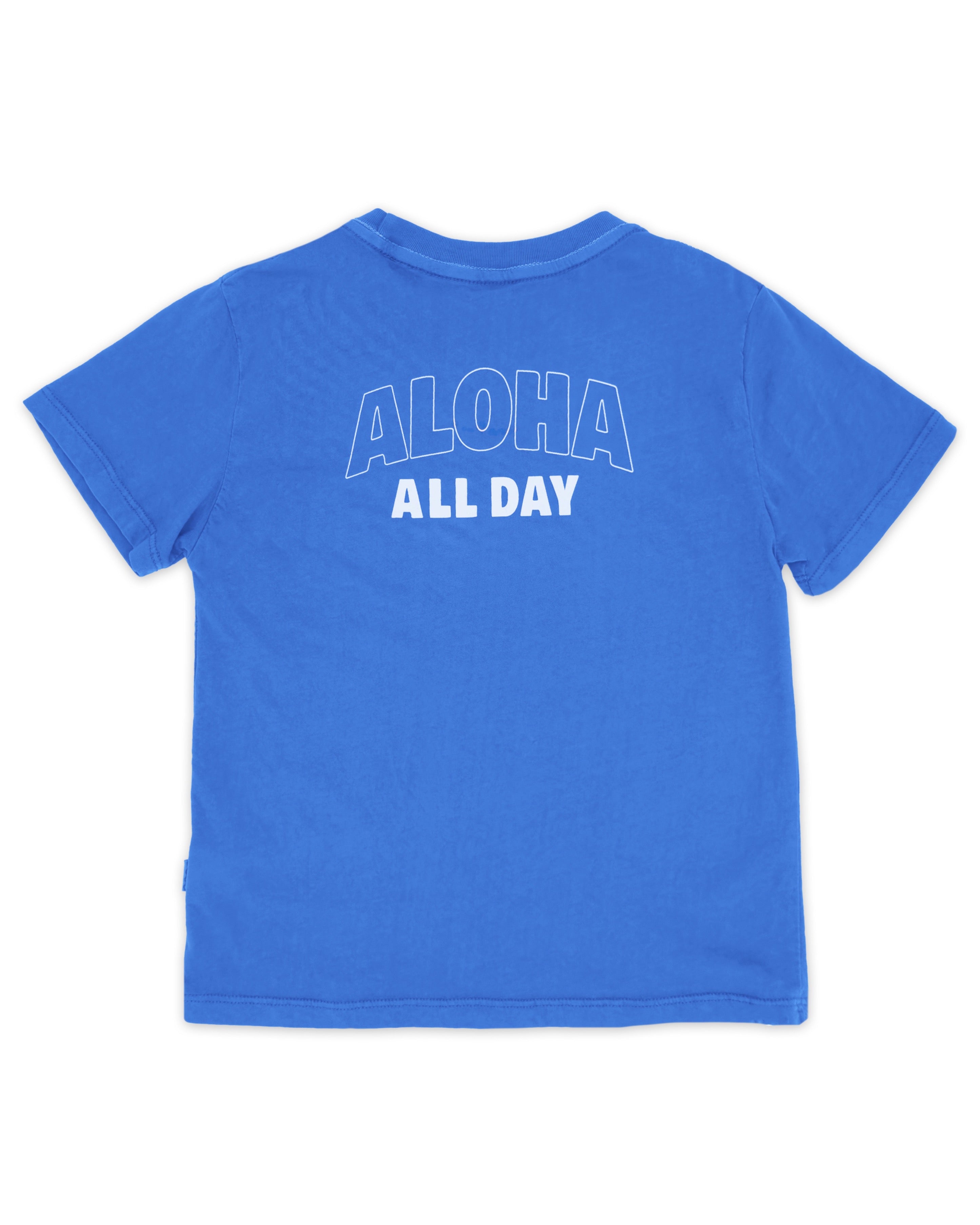 Boy's Vintage Tee - Aloha All Day – Feather 4 Arrow
